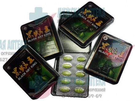 Купить Черный Королевский Муравей Black Ant King в Нижнем Новгороде